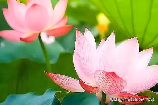 /www/bananadaily.net/web/images/image/2162/21625847.avif