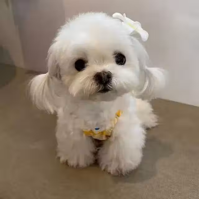 /www/bananadaily.net/web/images/image/2240/22404178.avif