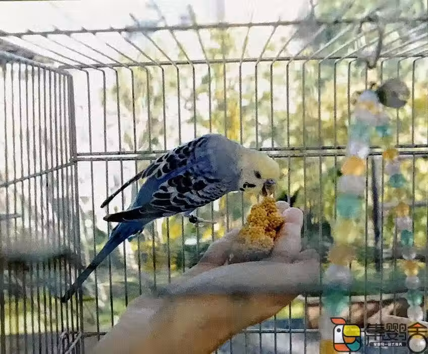 /www/bananadaily.net/web/images/image/2240/22407981.avif