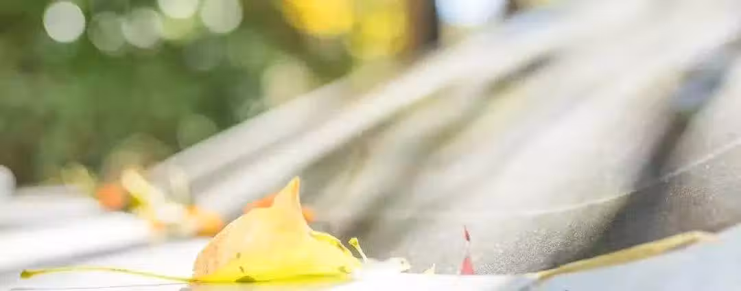 /www/bananadaily.net/web/images/image/2249/22499295.avif