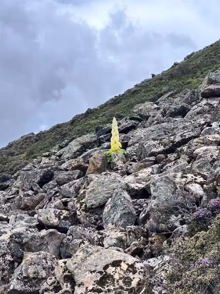 /www/bananadaily.net/web/images/image/2255/22556773.avif