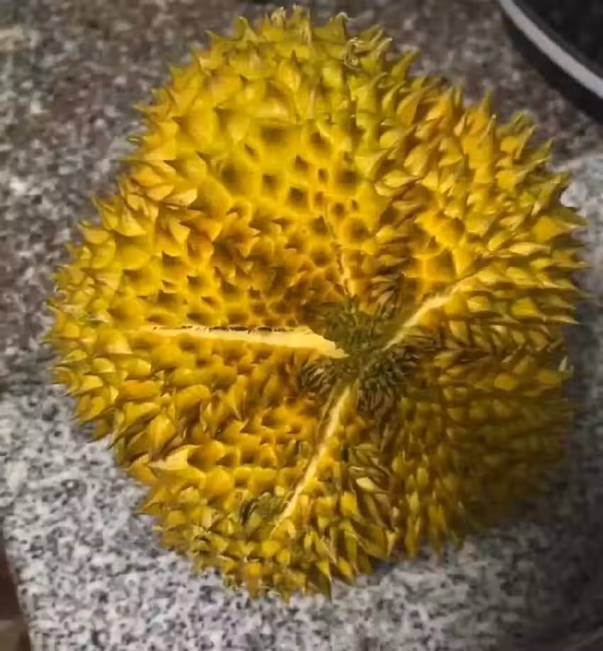 /www/bananadaily.net/web/images/image/2266/22664157.avif