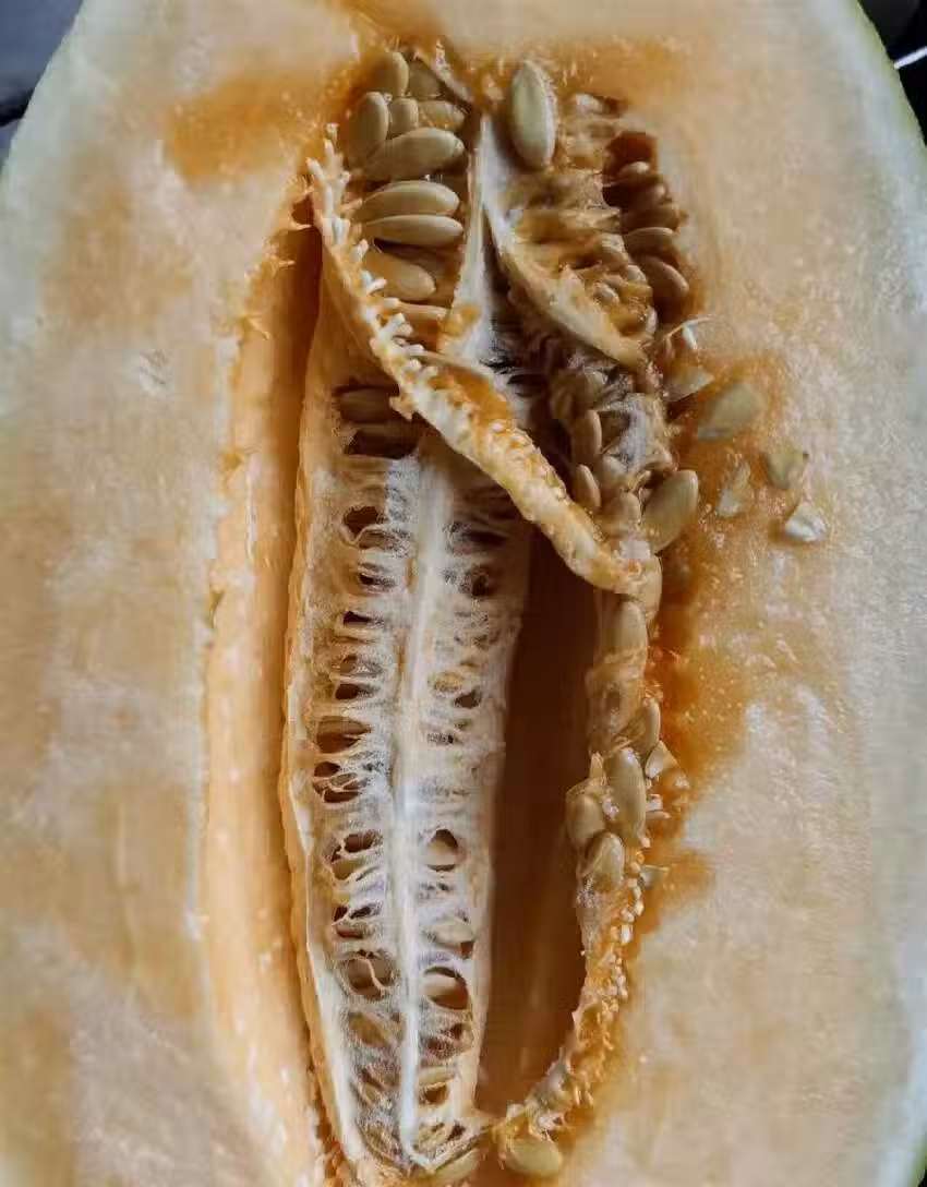 /www/bananadaily.net/web/images/image/2266/22664158.avif