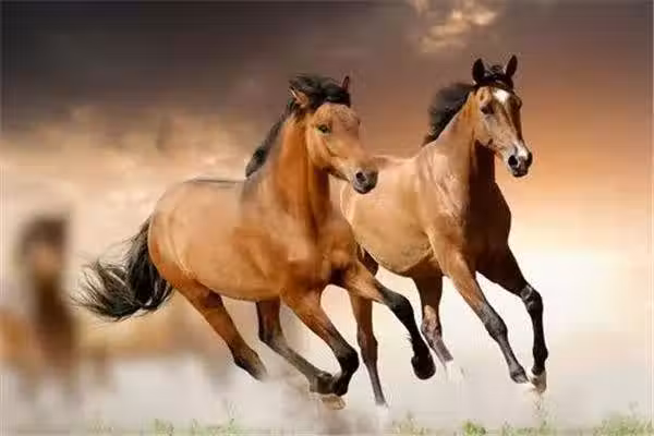 /www/bananadaily.net/web/images/image/2266/22664795.avif