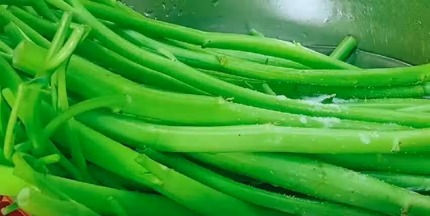 /www/bananadaily.net/web/images/image/2266/22664827.avif