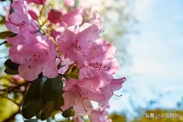 /www/bananadaily.net/web/images/image/2267/22671191.avif