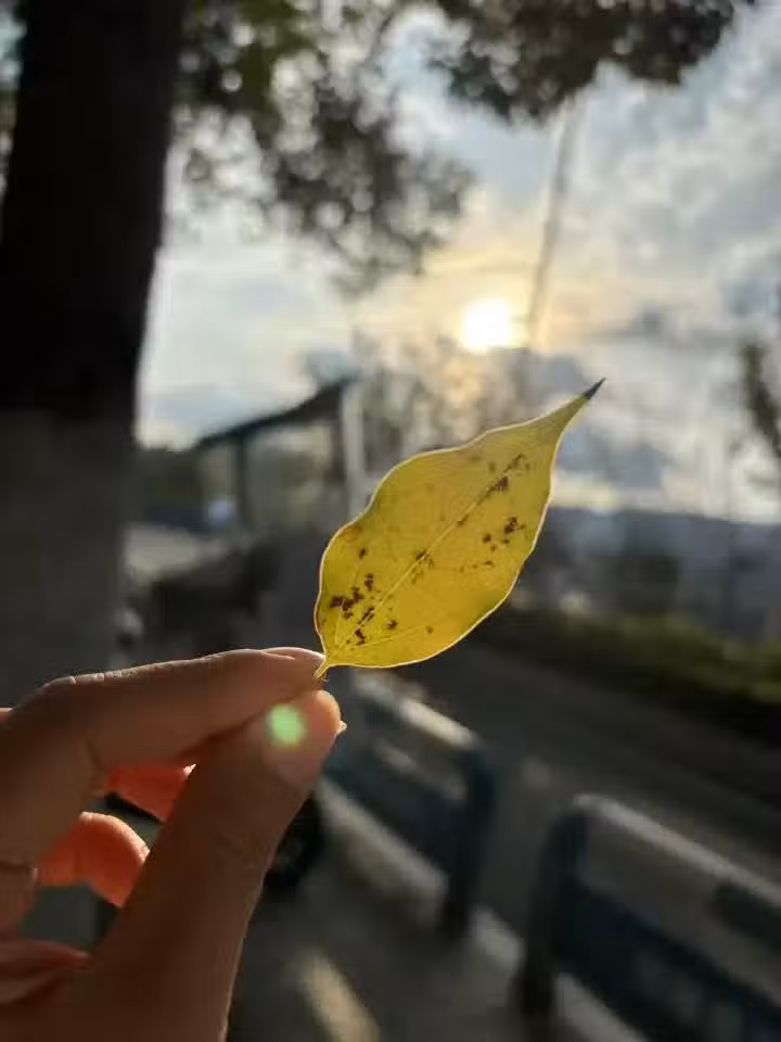 /www/bananadaily.net/web/images/image/2268/22682889.avif