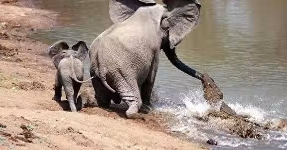 /www/bananadaily.net/web/images/image/2268/22687488.avif