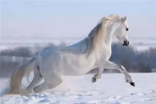 /www/bananadaily.net/web/images/image/2271/22718656.avif