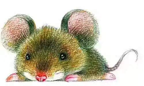 /www/bananadaily.net/web/images/image/2275/22752658.avif