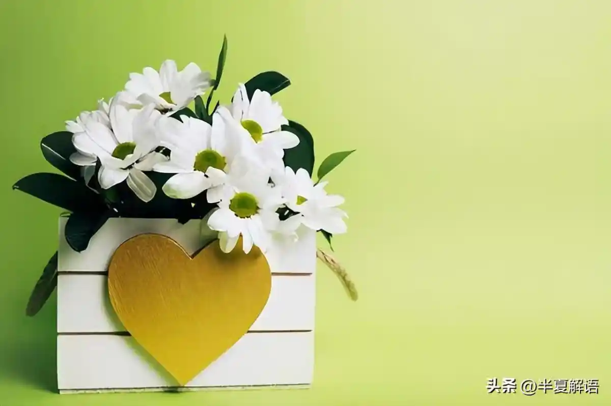/www/bananadaily.net/web/images/image/2275/22755379.avif