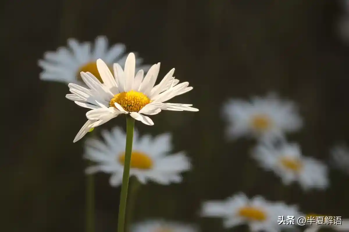 /www/bananadaily.net/web/images/image/2275/22755380.avif