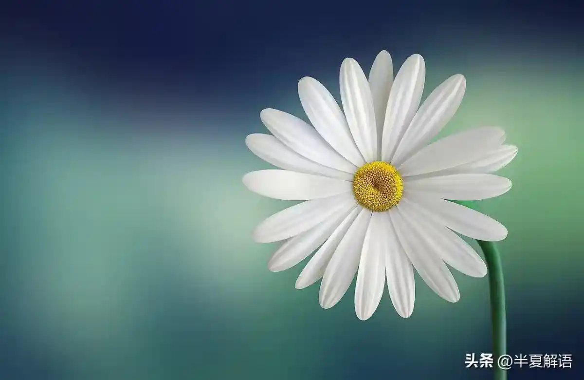 /www/bananadaily.net/web/images/image/2275/22755381.avif