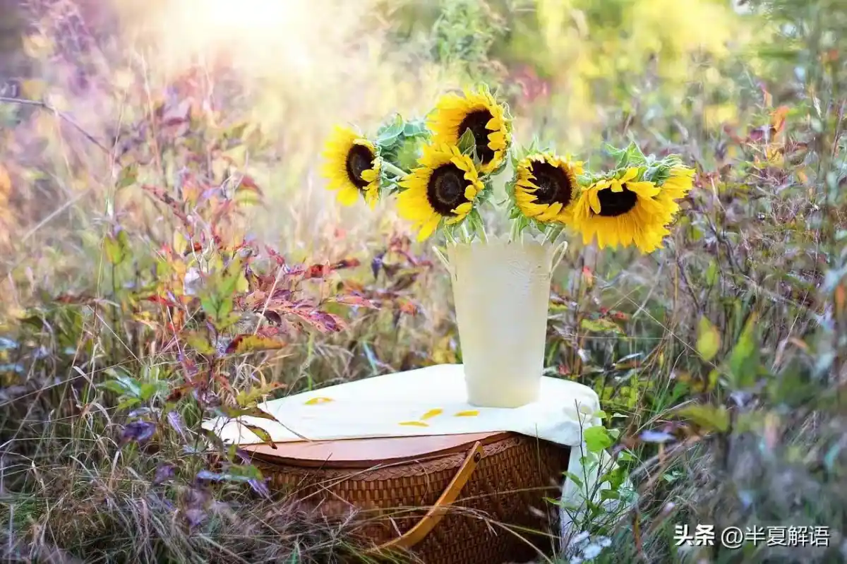 /www/bananadaily.net/web/images/image/2275/22755382.avif