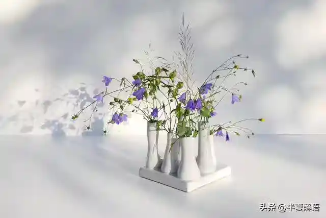 /www/bananadaily.net/web/images/image/2275/22755391.avif