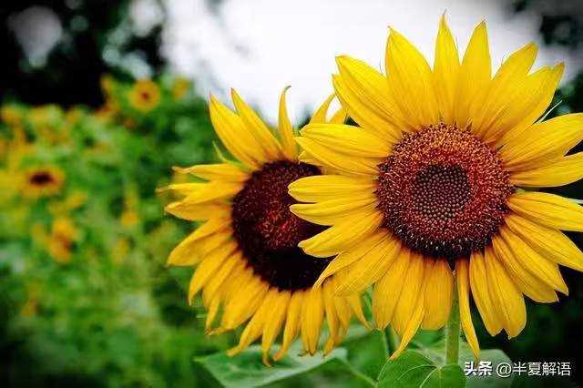 /www/bananadaily.net/web/images/image/2280/22807659.avif